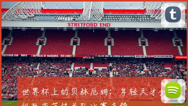 世界杯上的贝林厄姆：年轻天才如何改变英格兰队比赛走势